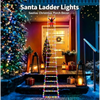 Santa Claus Ladder LED String Lights
