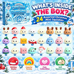Christmas Advent Calendar Mystery Dumpling Squishy