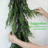 Artificial Norfolk Pine Holiday Garland