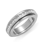 Titanium Fidget Ring
